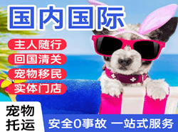 兴东航空快运国际宠物托运 【国