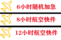 兴东航空快运快递公司,专业空运当天件